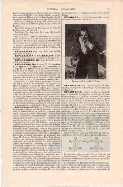 LAMINA V11993: El espartaquista, por David Jagger