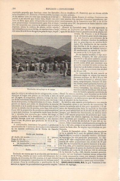 LAMINA V12030: Destilacion del espliego en el campo