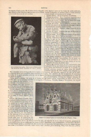 LAMINA V12015: Iglesia de la Santa Espina en Pisa