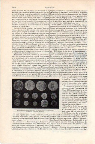 LAMINA V11925: Monedas de Cerdeña