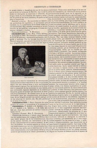 LAMINA V11930: Luis Cerebotani