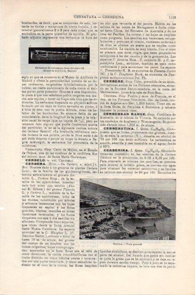 LAMINA V11921: Vista de Cerbere