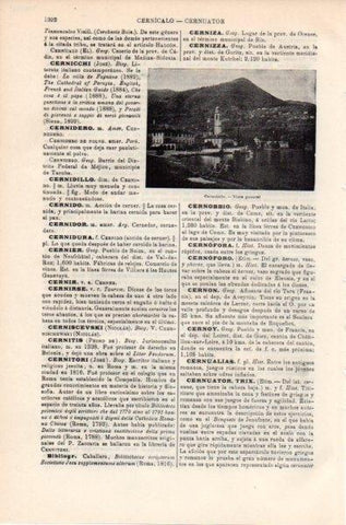 LAMINA V11937: Vista general de Cernobbio, Italia