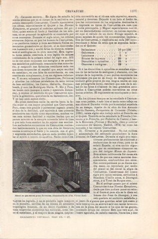 LAMINA V11954: Carcel de Argamasilla del Alba, Ciudad Real