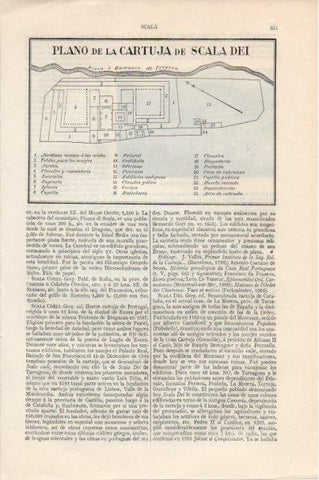LAMINA V11551: Plano de la Cartuja de Scala Dei