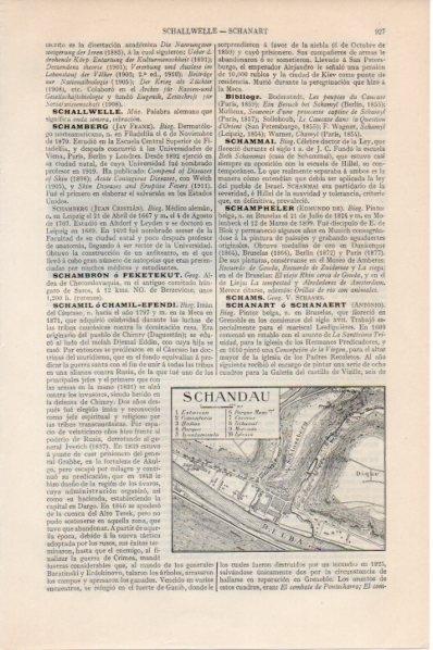 LAMINA V11571: Plano de Schandau, Alemania