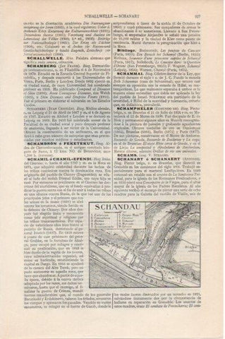 LAMINA V11571: Plano de Schandau, Alemania