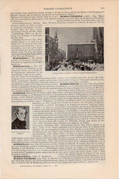 LAMINA V11602: La Marienplatz en Munich