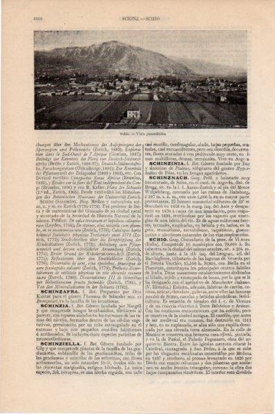 LAMINA V11585: Vista panoramica de Schio