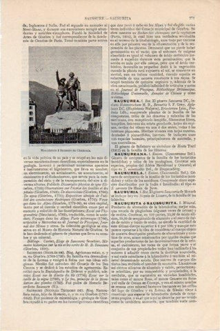 LAMINA V11537: Monumento a Saussure en Chamonix