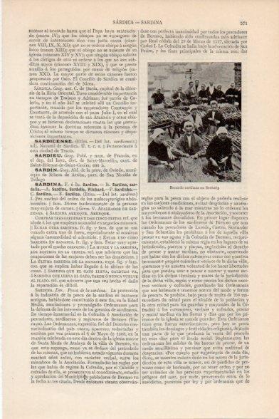 LAMINA V11484: Secando sardinas en Bretaña