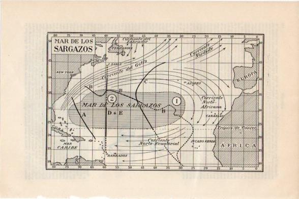 LAMINA V11489: Mapa del Mar de los Sargazos