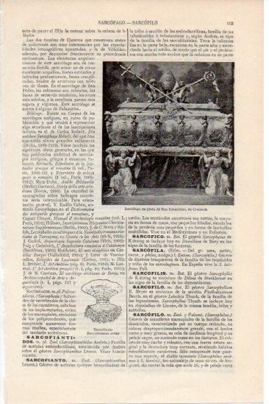 LAMINA V11480: Sarcofago de San Estanislao en Cracovia