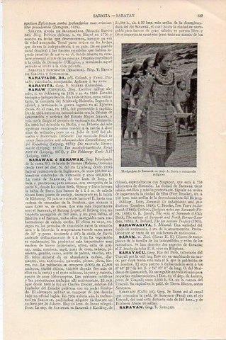 LAMINA V11473: Muchachas de Sarawak, Malasia