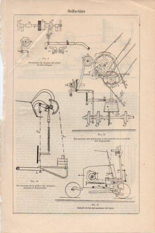 LAMINA V11681: Selfactina