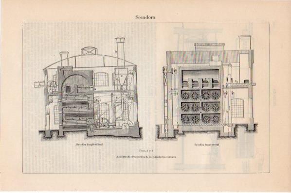 LAMINA V11631: Secadora de remolacha cortada