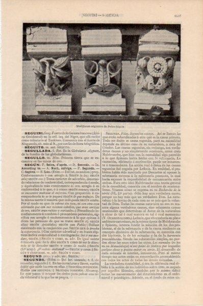 LAMINA V11667: Modillones de Pedro Seguin