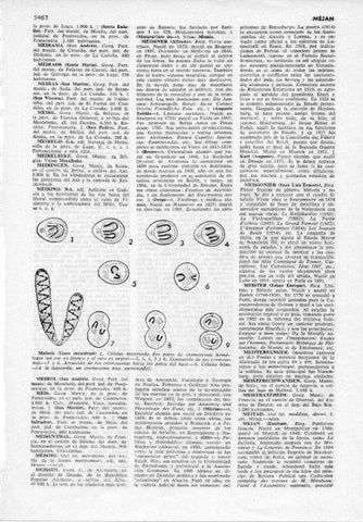 LAMINA V12049: Fases de la meiosis