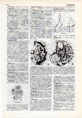 LAMINA V12371: Embriologia