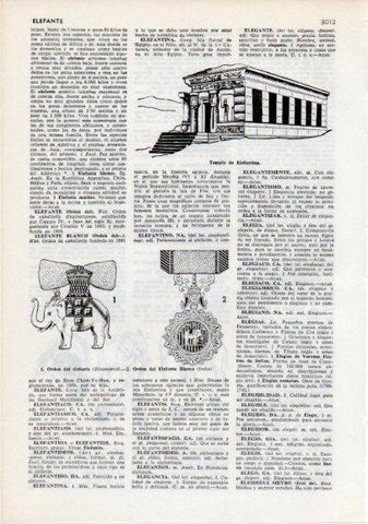 LAMINA V12369: Orden del Elefante de Dinamarca y Elefante Blanco de India