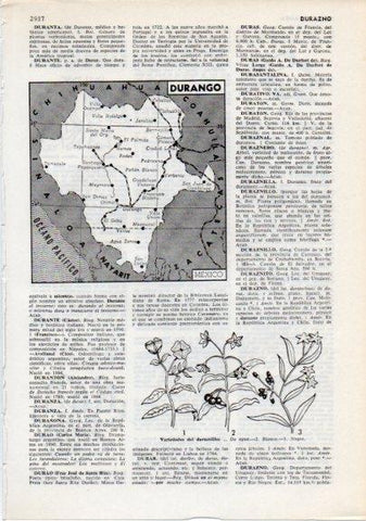 LAMINA V12356: Mapa de Durango, Mejico