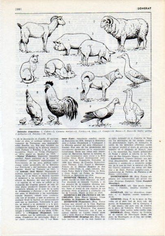 LAMINA V12351: Animales domesticos II