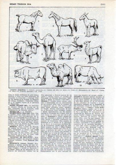 LAMINA V12350: Animales domesticos I