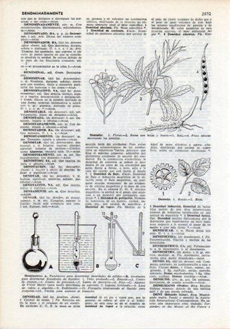 LAMINA V12314: Densimetros y dentaria
