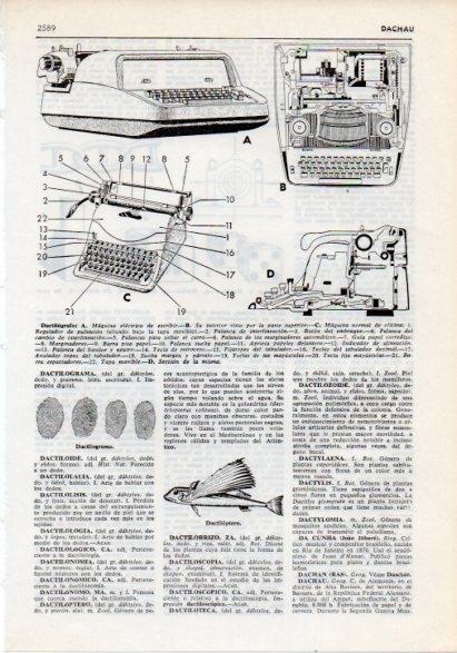 LAMINA V12306: Tipos de dactilografos y dactiloptero