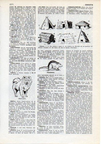 LAMINA V12303: Tipos de chozas y chozchorito