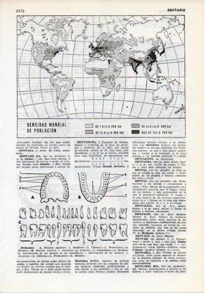 LAMINA V12315: Mapa mundial de poblacion y partes de una dentadura
