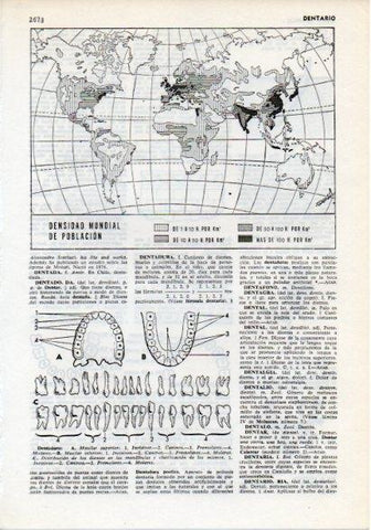 LAMINA V12315: Mapa mundial de poblacion y partes de una dentadura