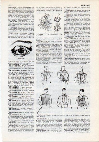 LAMINA V12291: Tipos de chalecos y chalazion