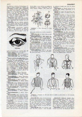 LAMINA V12291: Tipos de chalecos y chalazion