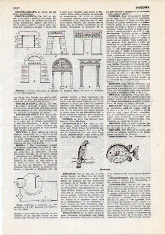 LAMINA V12341: Tipos de dinteles y diodontes