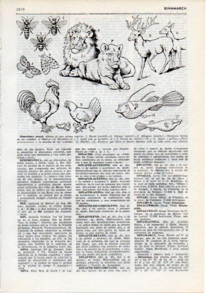 LAMINA V12337: Dimorfismo sexual en los animales