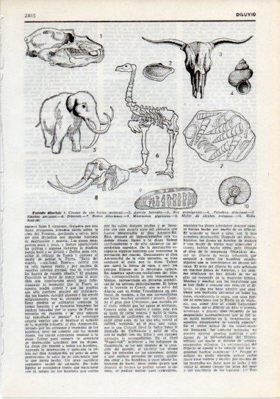 LAMINA V12336: Animales del perido diluvial