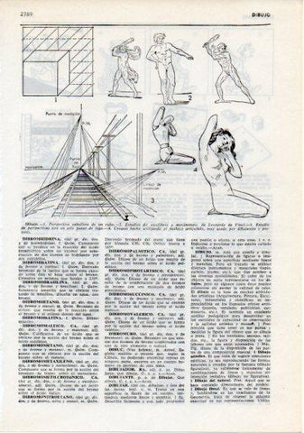 LAMINA V12332: Perspectiva del dibujo