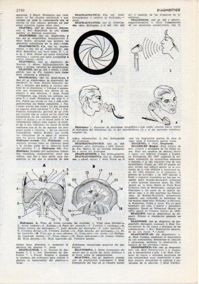 LAMINA V12328: Partes del diafragma humano
