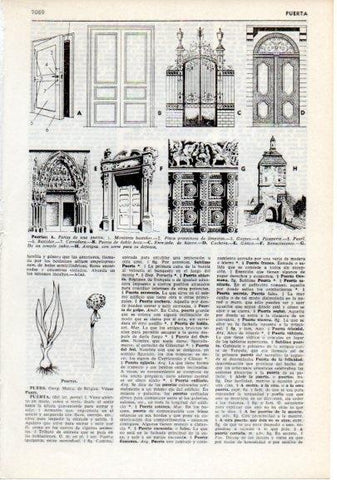 LAMINA V12473: Tipos de puertas