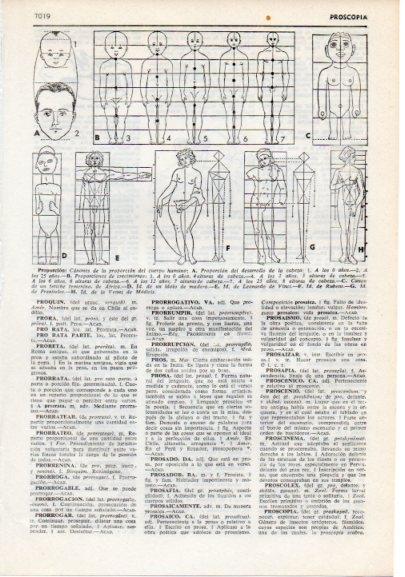 LAMINA V12469: Canones de la proporcion del cuerpo humano