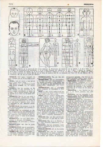 LAMINA V12469: Canones de la proporcion del cuerpo humano
