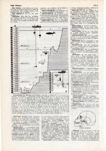 LAMINA V12468: Profundidades en el mar