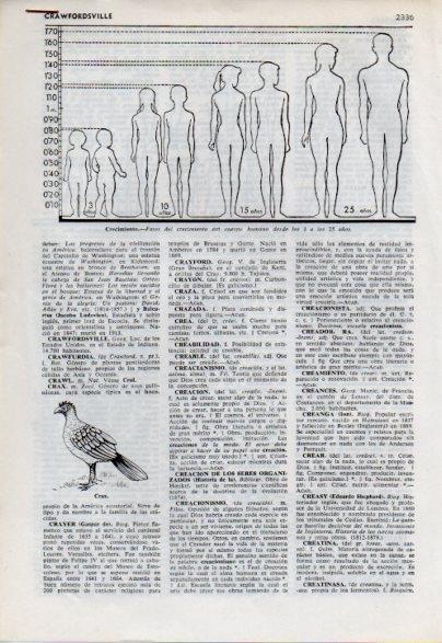 LAMINA V12522: Entrada crecimiento del cuerpo humano