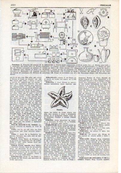 LAMINA V12456: Proceso de elaboración de la porcelana