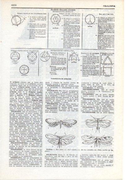 LAMINA V12450: Construccion de poligonos y tipos de polillas