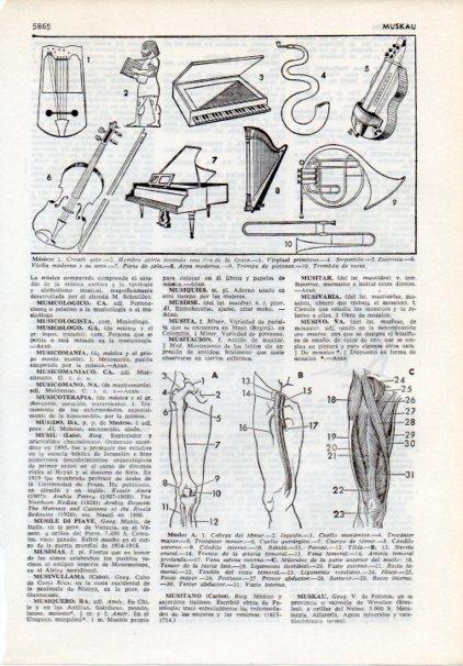 LAMINA V12131: Intrumentos de musica y muslo
