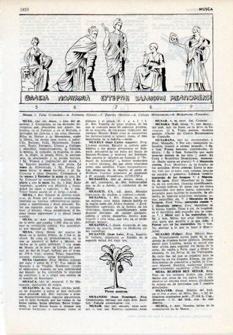 LAMINA V12128: Talia, Polimnia, Euterpe, Caliope y Melpomene