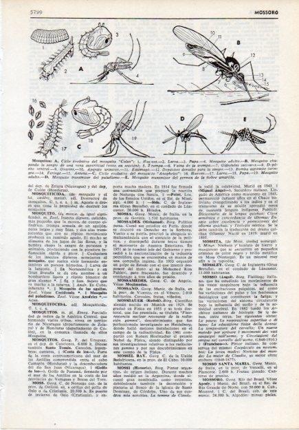 LAMINA V12116: Mosquitos