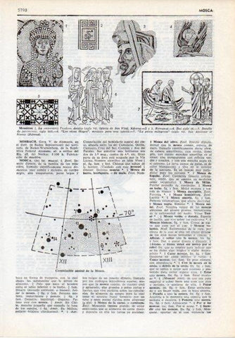 LAMINA V12115: Mosaicos y constelacion austral de la Mosca 